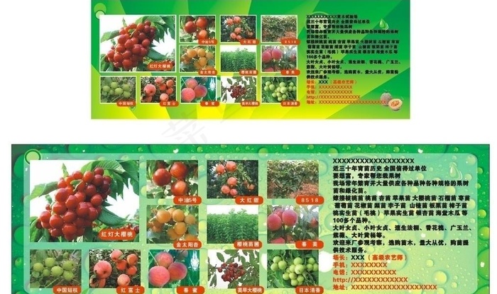 水果图图片cdr矢量模版下载