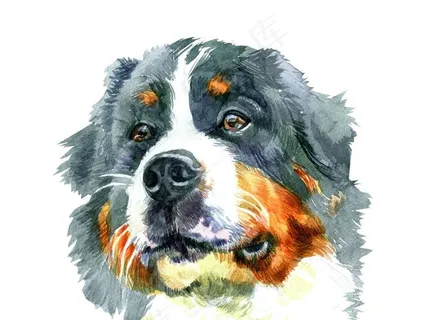 卡通可爱手绘水彩狗PNG素材