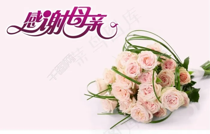 母亲节康乃馨素材cdr矢量模版下载