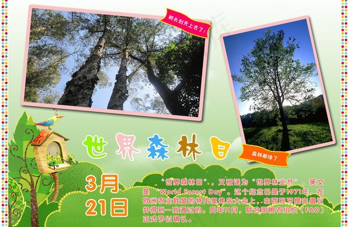 世界森林日图片psd模版下载