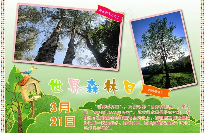 世界森林日图片psd模版下载