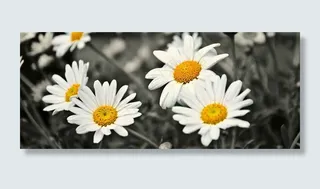 相册图库整站企业模板