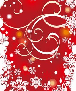 时尚冬季花纹背景矢量图089