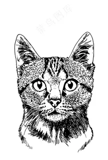 猫咪黑白简笔插画