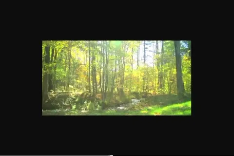 植物视频素材模板下载