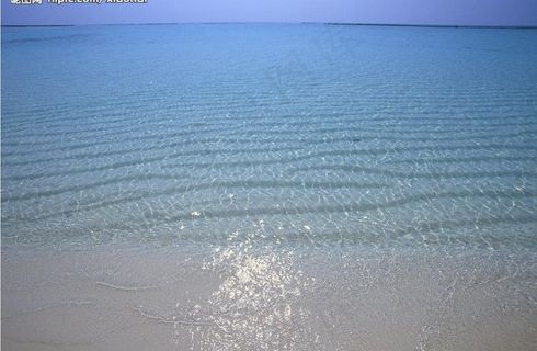 清澈的海水图片