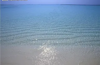 清澈的海水图片