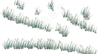 小草 绿草 植物图片