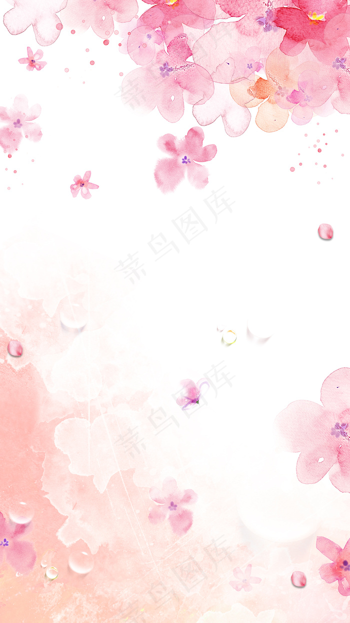 花朵 素雅背景