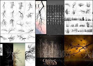 Rons系列高清晰枯树和大树PS笔...