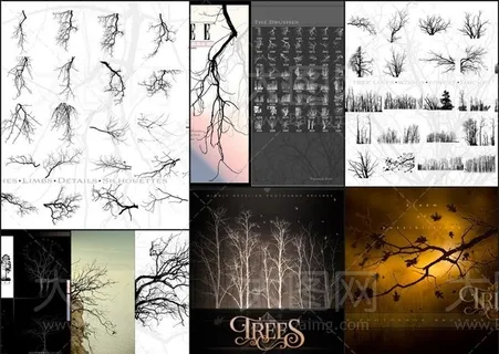Rons系列高清晰枯树和大树PS笔... Rons系列高清晰枯树和大树PS笔...