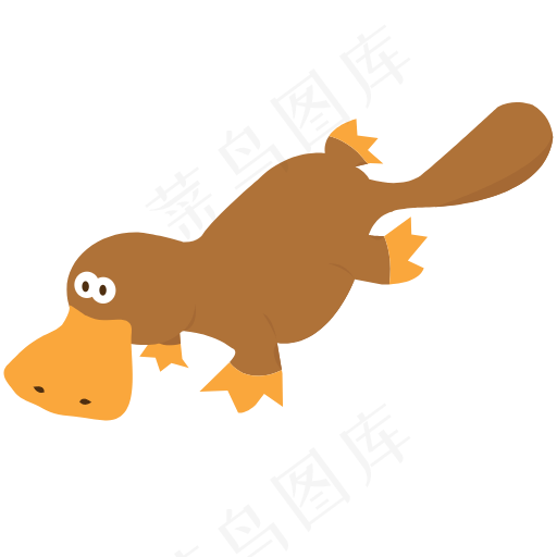 动物 鸭嘴兽 野生