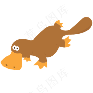 动物 鸭嘴兽 野生