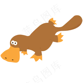 动物 鸭嘴兽 野生