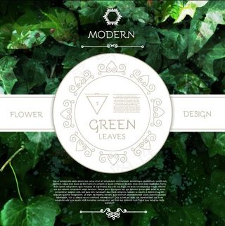 彩色森系花草树叶橙绿棕榈芭蕉枫叶背...