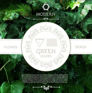 彩色森系花草树叶橙绿棕榈芭蕉枫叶背...