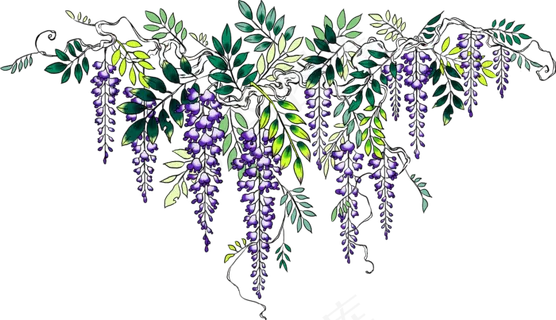 唯美简约花PNG素材