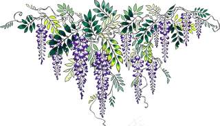 唯美简约花PNG素材