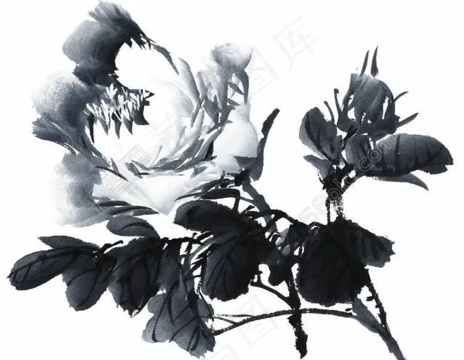 psd分层素材透明背景中国画水墨植物图片(3699X3077(DPI:300))psd模版下载