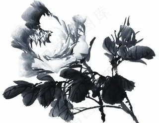 psd分层素材透明背景中国画水墨植物图片