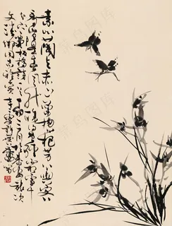 兰花蝴蝶图片 兰花蝴蝶图片
