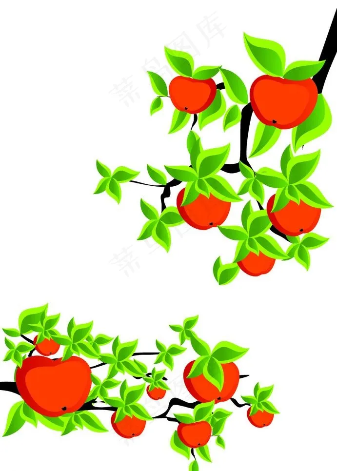 苹果 苹果树图片
