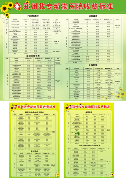 医院收费标准cdr矢量模版下载