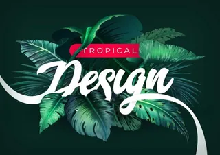 热带植物叶子背景