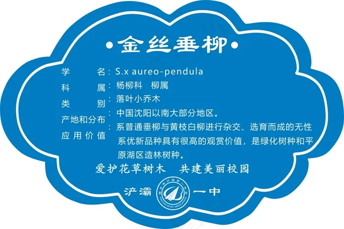 金丝翠柳cdr矢量模版下载