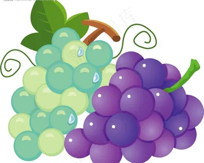 葡萄图片