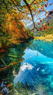 丛林深处的湖泊高清摄影图片 丛林深处的湖泊高清摄影图片