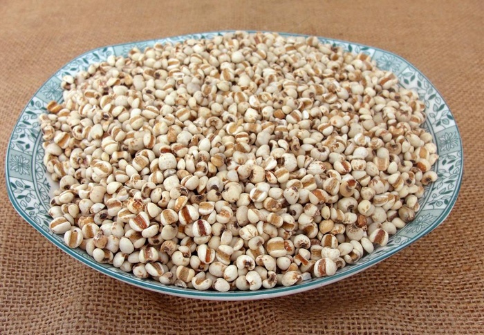 薏仁米 薏米图片