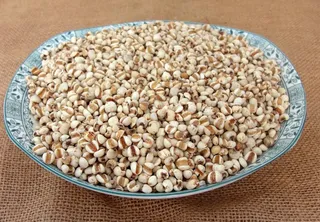 薏仁米 薏米图片