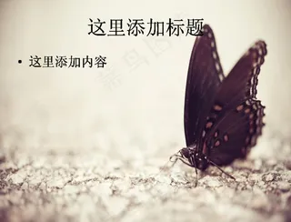 唯美可爱动物PPT(7)