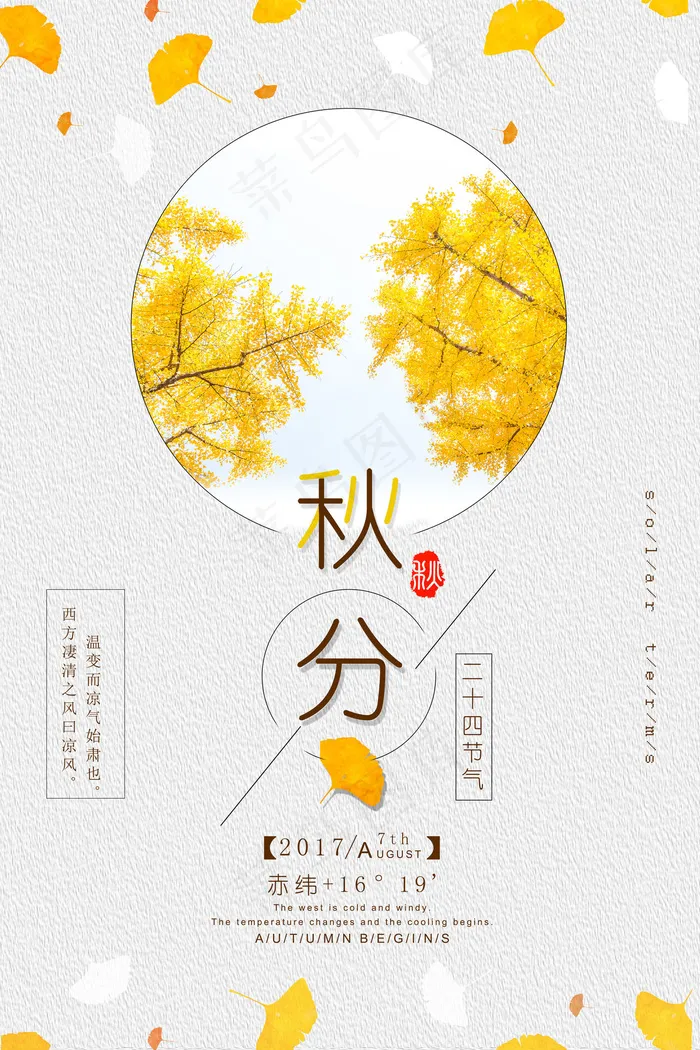 简约唯美枫叶主题24二十四节气秋分...