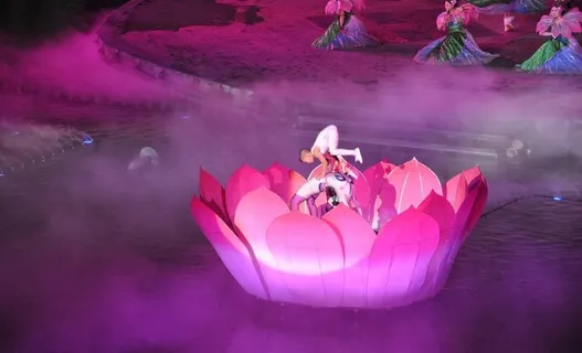 梦幻太极之盛夏莲开图片