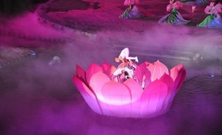 梦幻太极之盛夏莲开图片