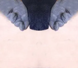 五福娃3D模型(奥运吉祥物)