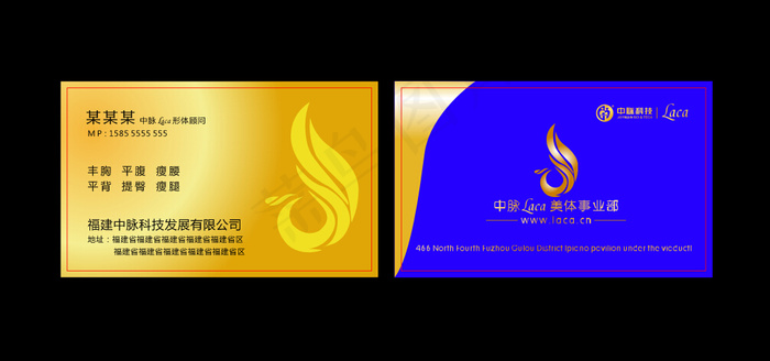 中脉科技名片cdr矢量模版下载