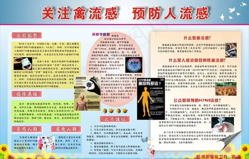 H7N9禽流感宣传广告设计