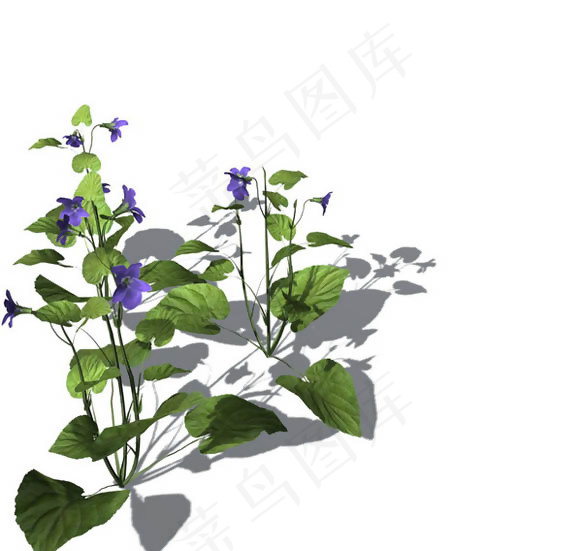 小型花卉植物3D模型免费下载，带材...