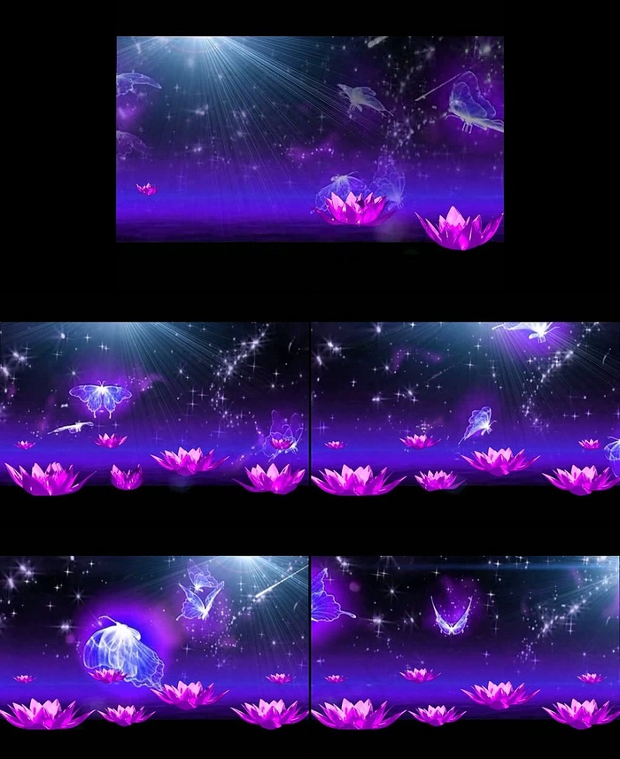 梦幻紫色荷花演出舞台婚庆视频背景素...