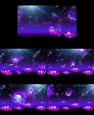 梦幻紫色荷花演出舞台婚庆视频背景素...