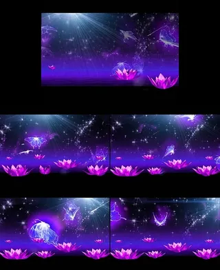 梦幻紫色荷花演出舞台婚庆视频背景素...