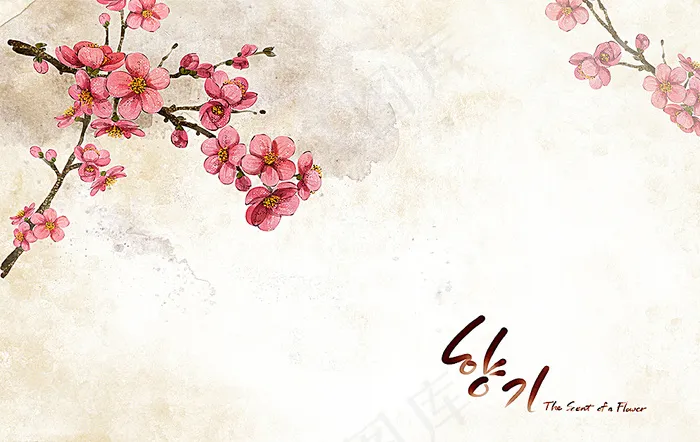 韩式梅花插画图片(4961X3189(DPI:300))psd模版下载