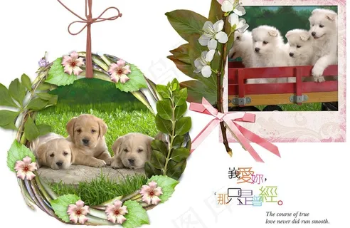 狗狗相框设计图片