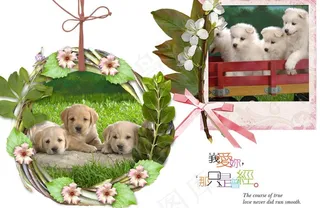 狗狗相框设计图片