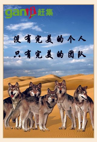 没有完美的个人只有完美的团队