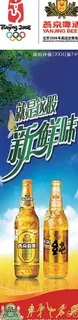 燕京啤酒x展架图片