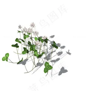 小型花卉植物3D模型免费下载，带材...
